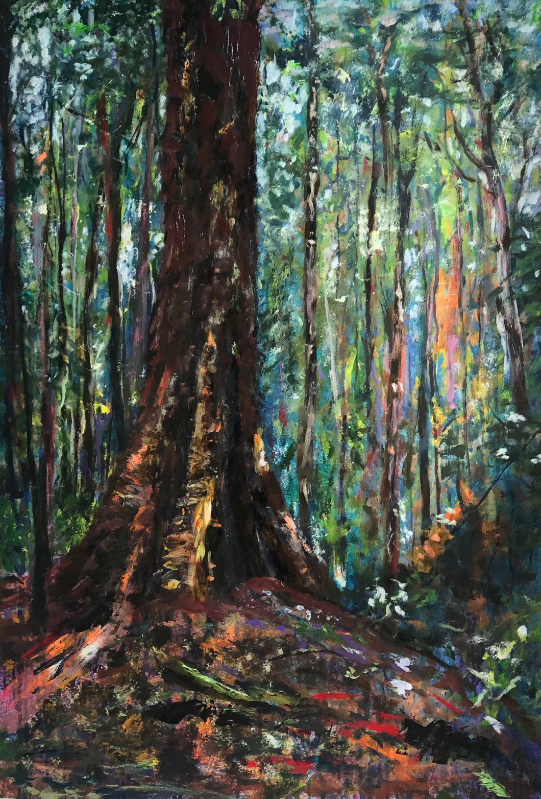 Acrylic and oil painting of giant tree in rainforest, Australian landscape, light peeking through the trees