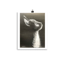 Load image into Gallery viewer, Kitty - Prints