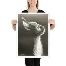 Load image into Gallery viewer, Kitty - Prints
